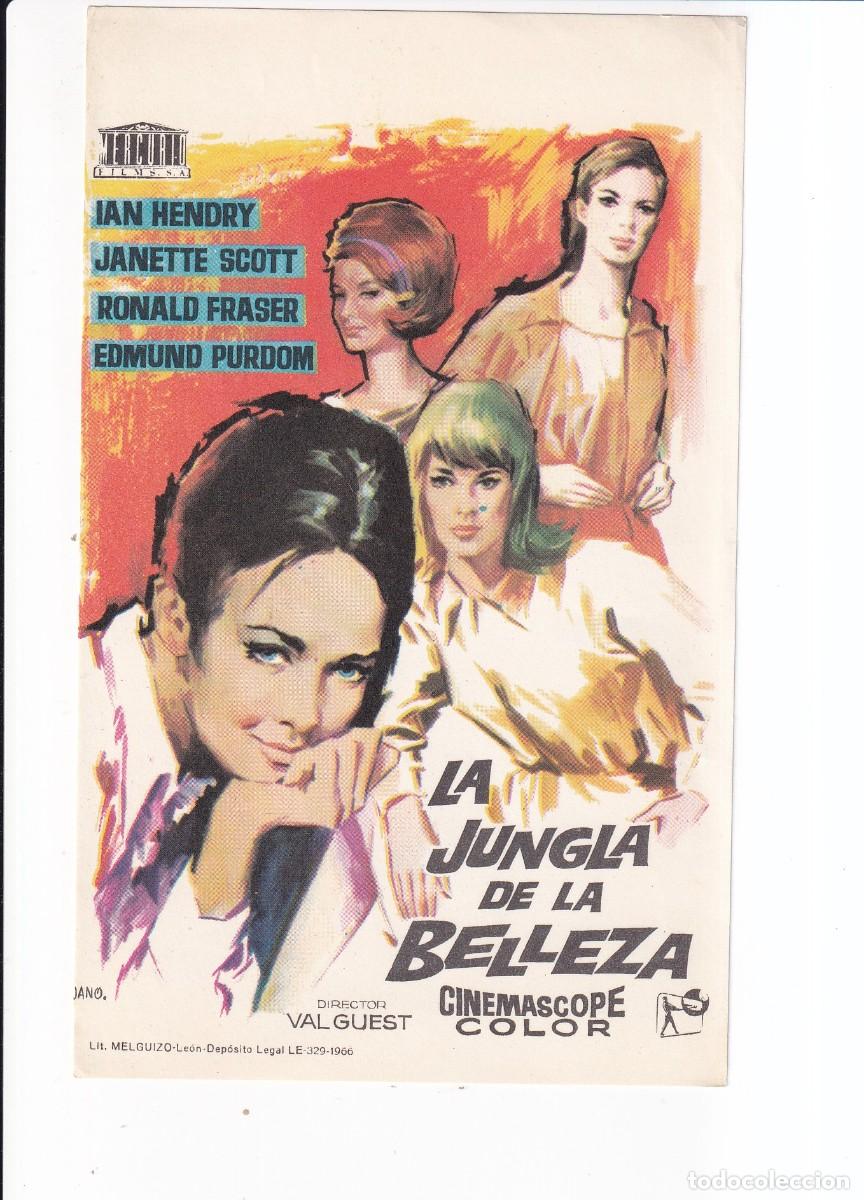 Kino: LA JUNGLA DE LA BELLEZA : JAN HENDRY