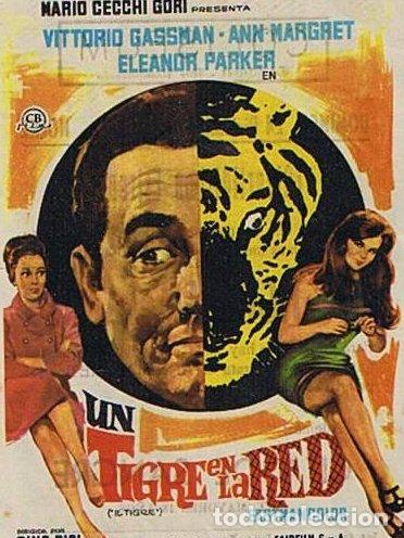 Cine: UN TIGRE EN LA RED. CINE COLISEUM (TARRAGONA). VITTORIO GASSMAN, ANN MARGRET, ELEANOR PARKER