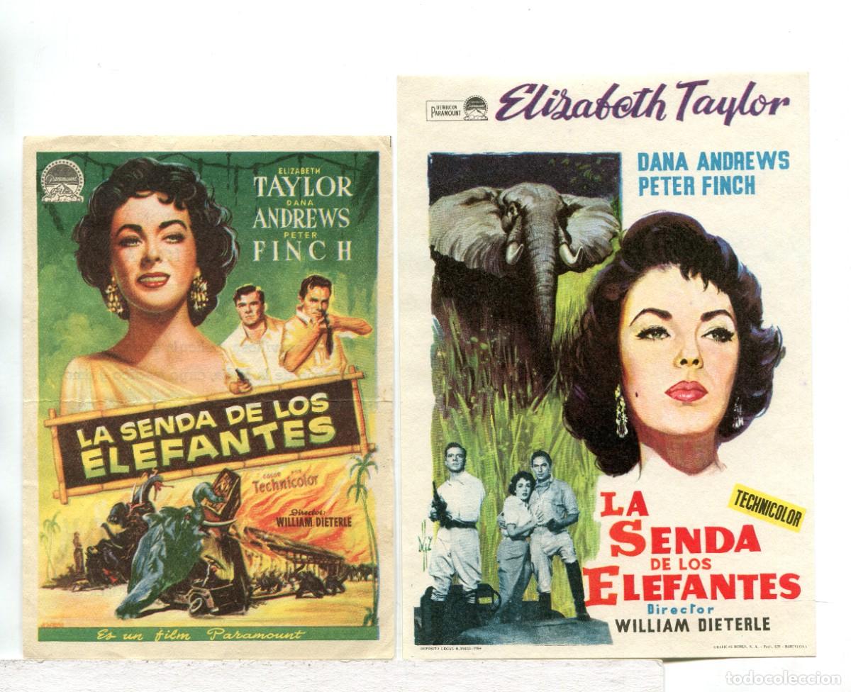 Cine: LA SENDA DE LOS ELEFANTES, con Elizabeth Taylor