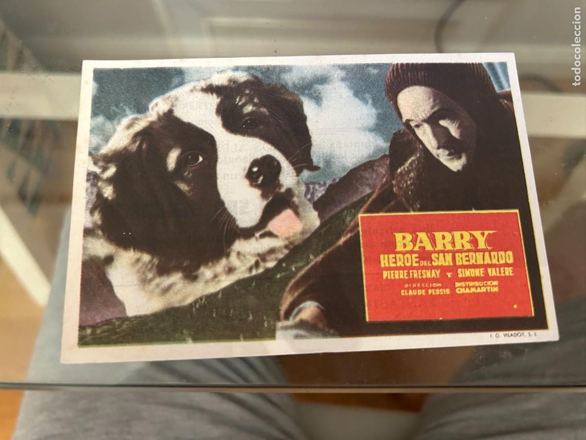 Cine: 1073 BARRY, HEROE DEL SAN BERNARDO CINEMA FERROL CON PUBLICIDAD BUEN ESTADO
