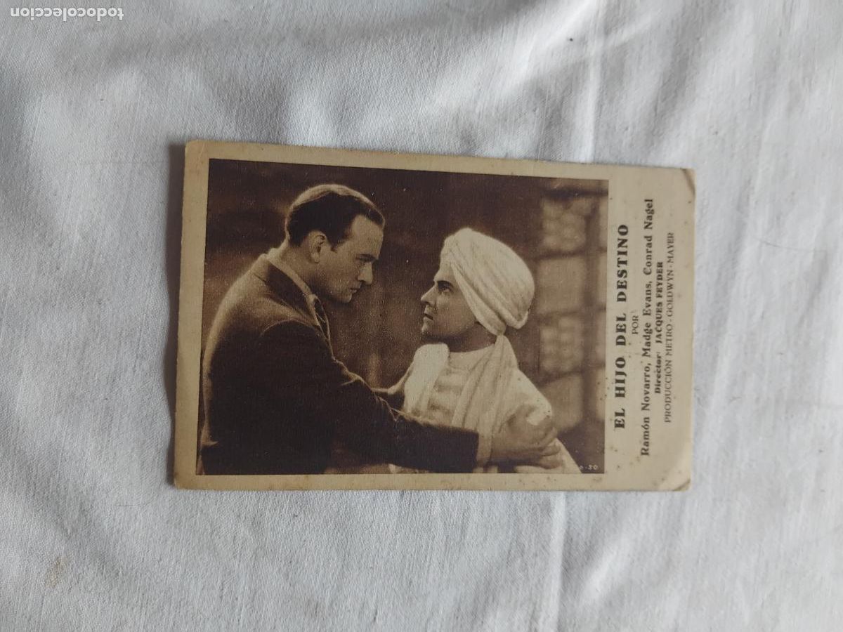 Cine: PROGRAMA DE CINE CARTON EL HIJO DEL DESTINO. MGM.