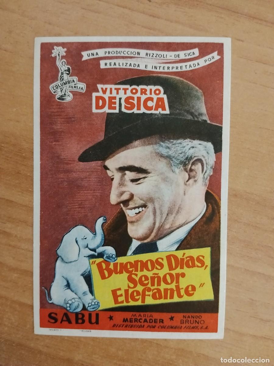 Cine: TURQUE-PROGRAMA DE LA PELICULA --BUENOS DIAS SE&Ntilde;OR ELEFANTE ct