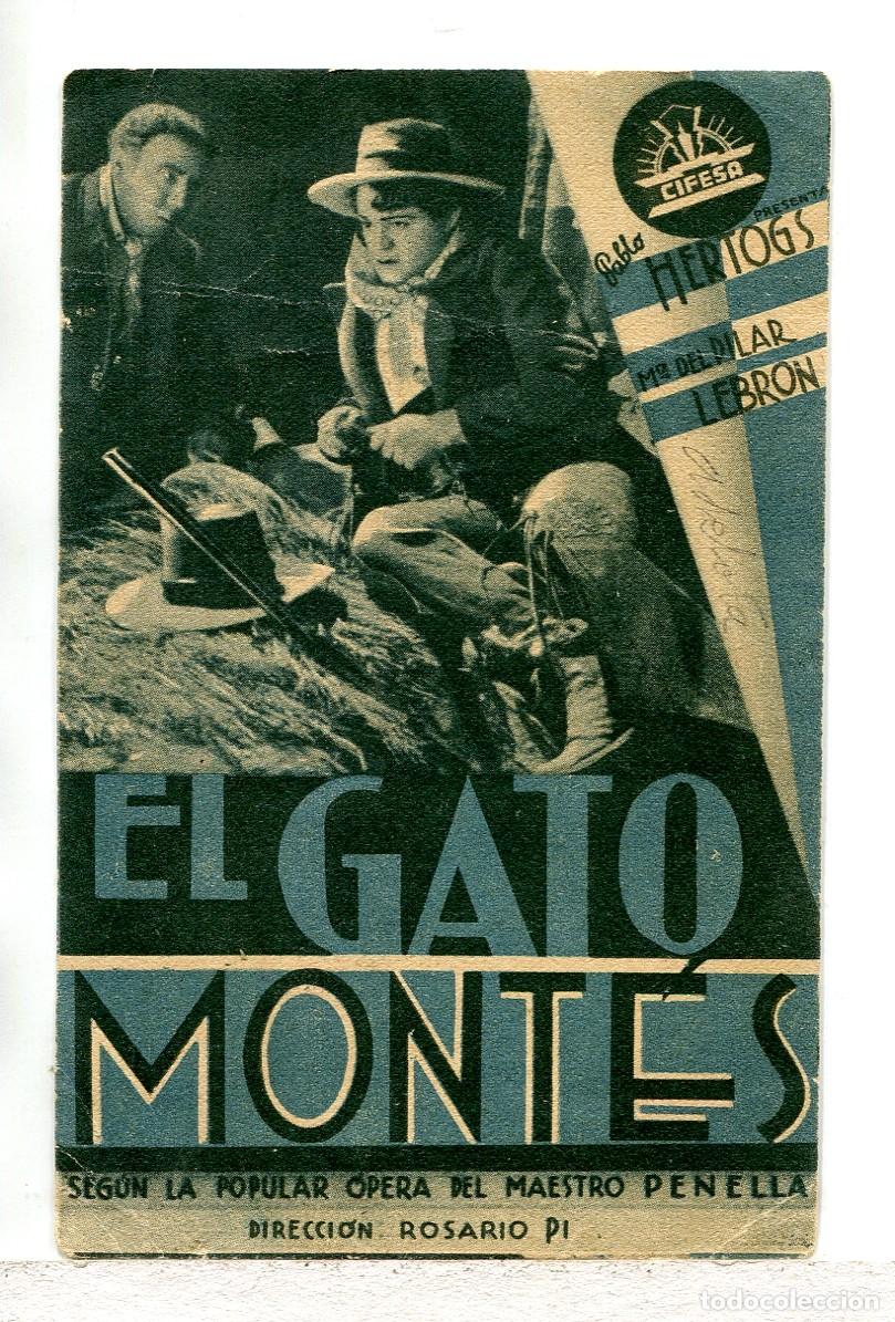 Cinema: EL GATO MONT&Eacute;S, con Mar&iacute;a del Pilar Lebr&oacute;n.