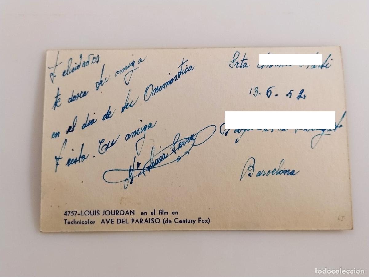 Cine: LOUIS JORDAN - AVE DEL PARAISO - PROGRAMA DE CINE - POSTAL (116.942) - Foto 2