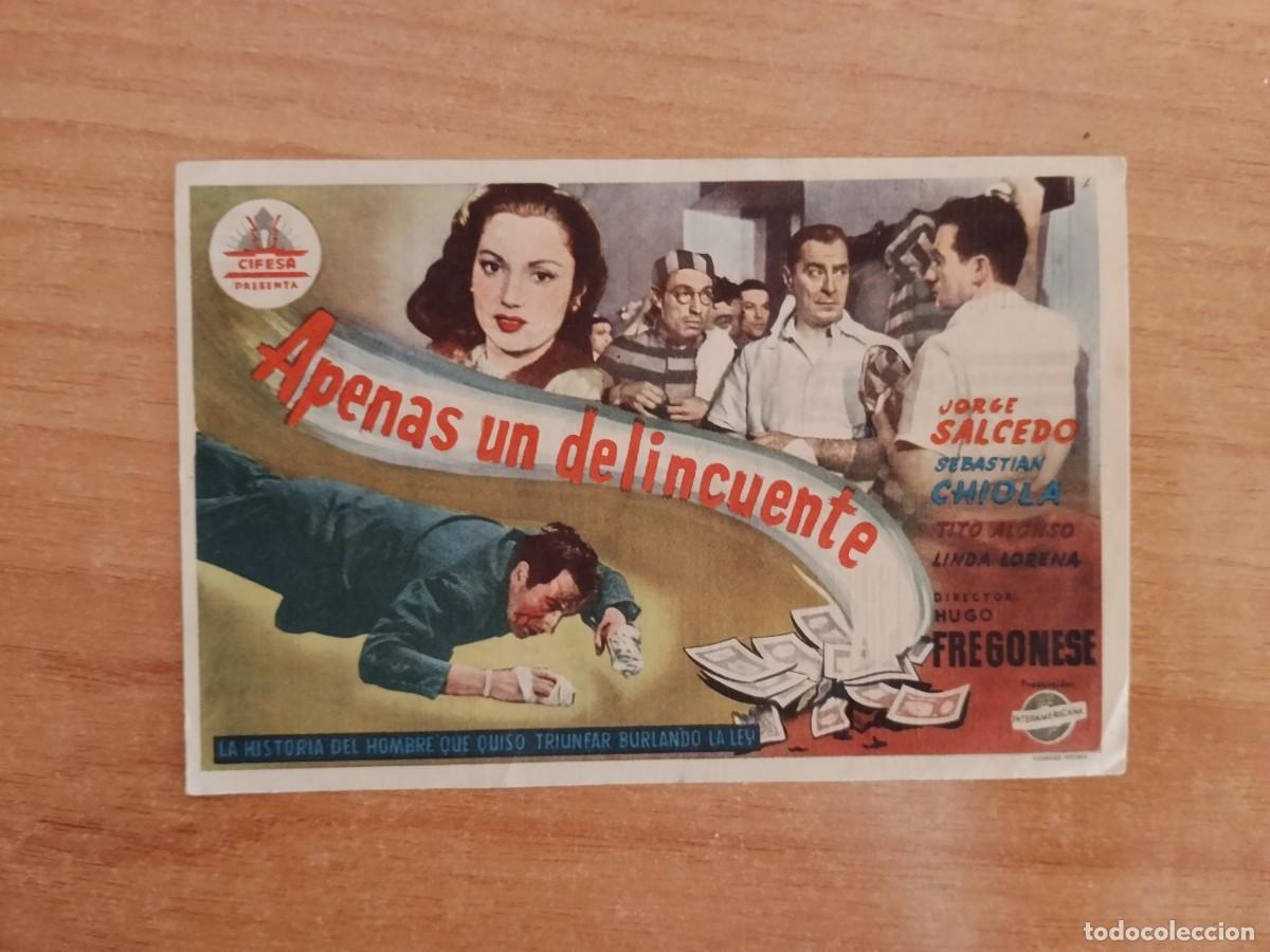 Cine: ROSA-PROGRAMA DE LA PELICULA --APENAS UN DELINCUENTE CT