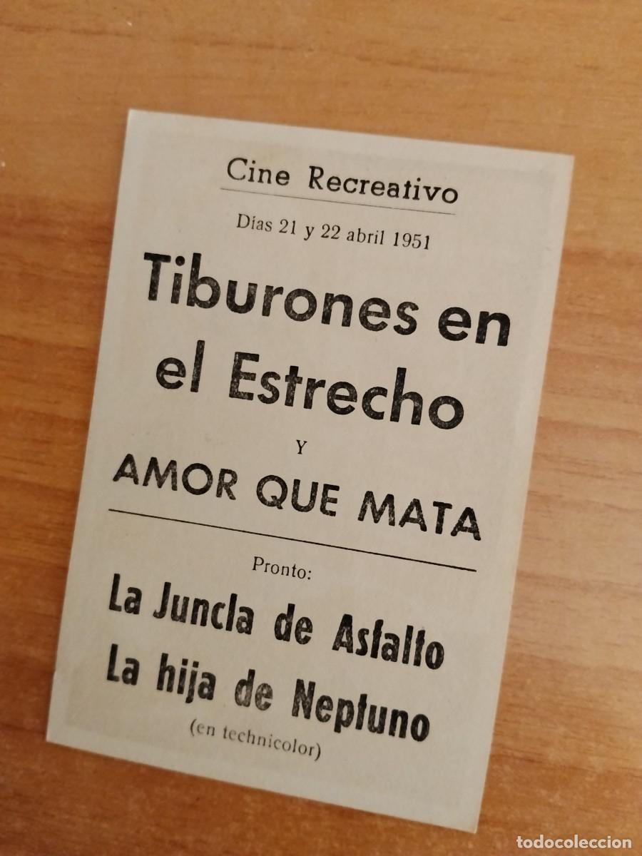 Cine: ROSA-PROGRAMA DE LA PELICULA --TIBURONES EN EL ESTRECHO ct - Foto 2