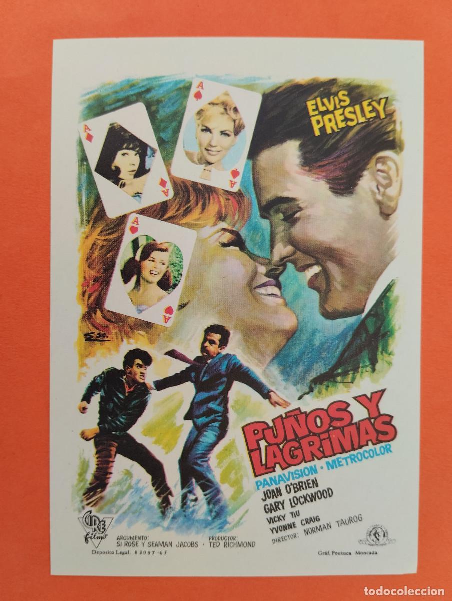 Cine: PROGRAMA CINE. PU&Ntilde;OS Y LAGRIMAS. REVERSO EN BLANCO.