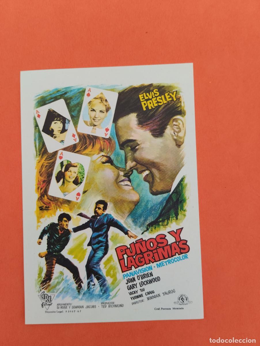 Cine: PROGRAMA CINE. PU&Ntilde;OS Y LAGRIMAS. REVERSO EN BLANCO.