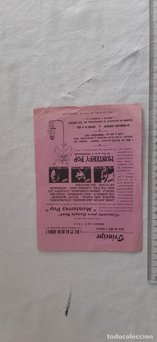 Cine: FOLLETO CINE.MONTERREY POP