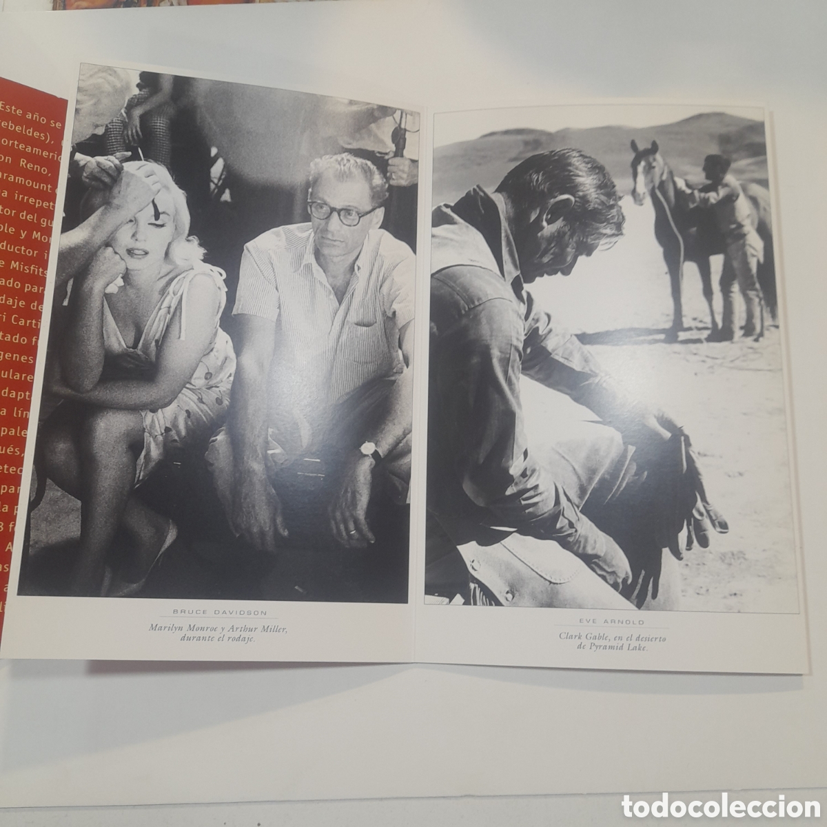 Cine: Programa Seminci The Misfits - Foto 4