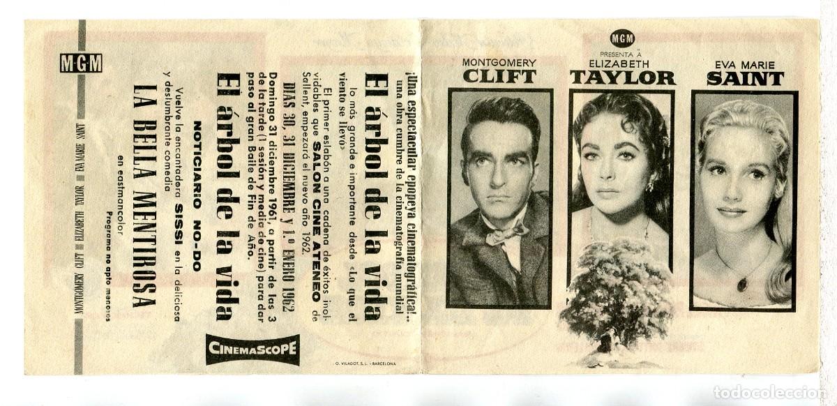 Cine: EL &Aacute;RBOL DE LAVIDA, con Elizabeth Taylor.