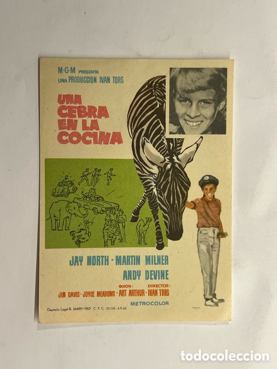 Cine: UNA CEBRA EN LA COCINA. Folleto de mano.. 1965 Sin Publicidad