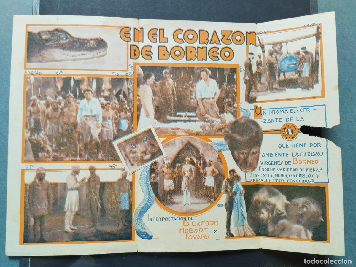 Cine: BZB PROGRAMA DE CINE TRIPTICO. URUGUAY. EN EL CORAZON DE BORNEO. - Foto 3