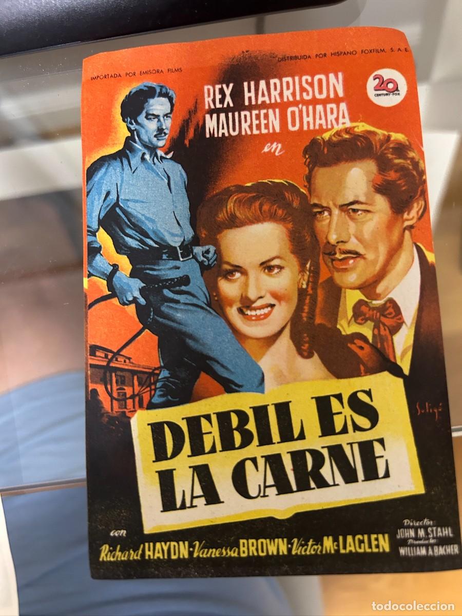 Kino: &ordm;473 debil es la carne sin publicidad buen estado sin publicidad
