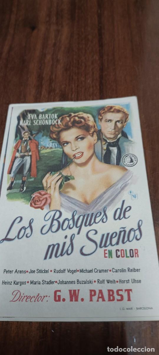 Kino: Los bosques de mis sue&ntilde;os.Folleto mano