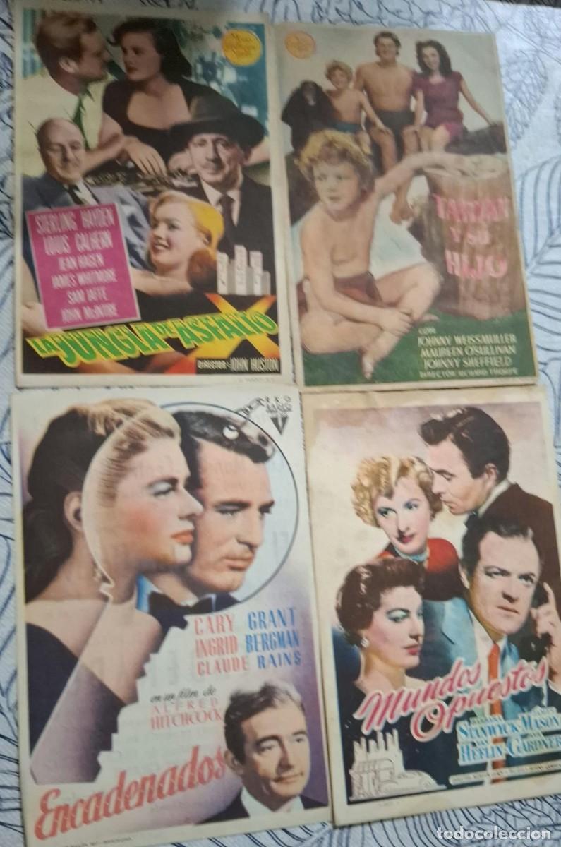 Cine: VARIOS - PROGRAMAS DE CINE