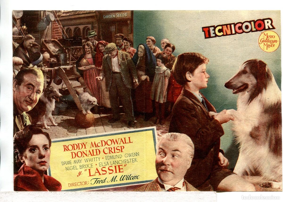 Cine: LA CADENA INVISIBLE, con Roddy McDowall. - Foto 2