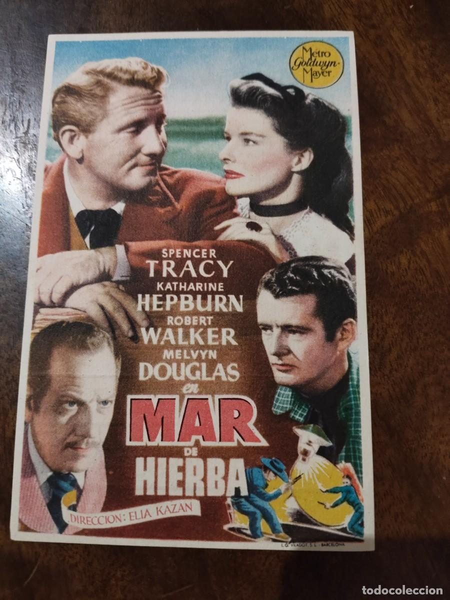 Kino: En Mar de Hierba. Teatro Sal&oacute;n Romero. Zafra. Spencer Tracy, Katharine Hepburn.