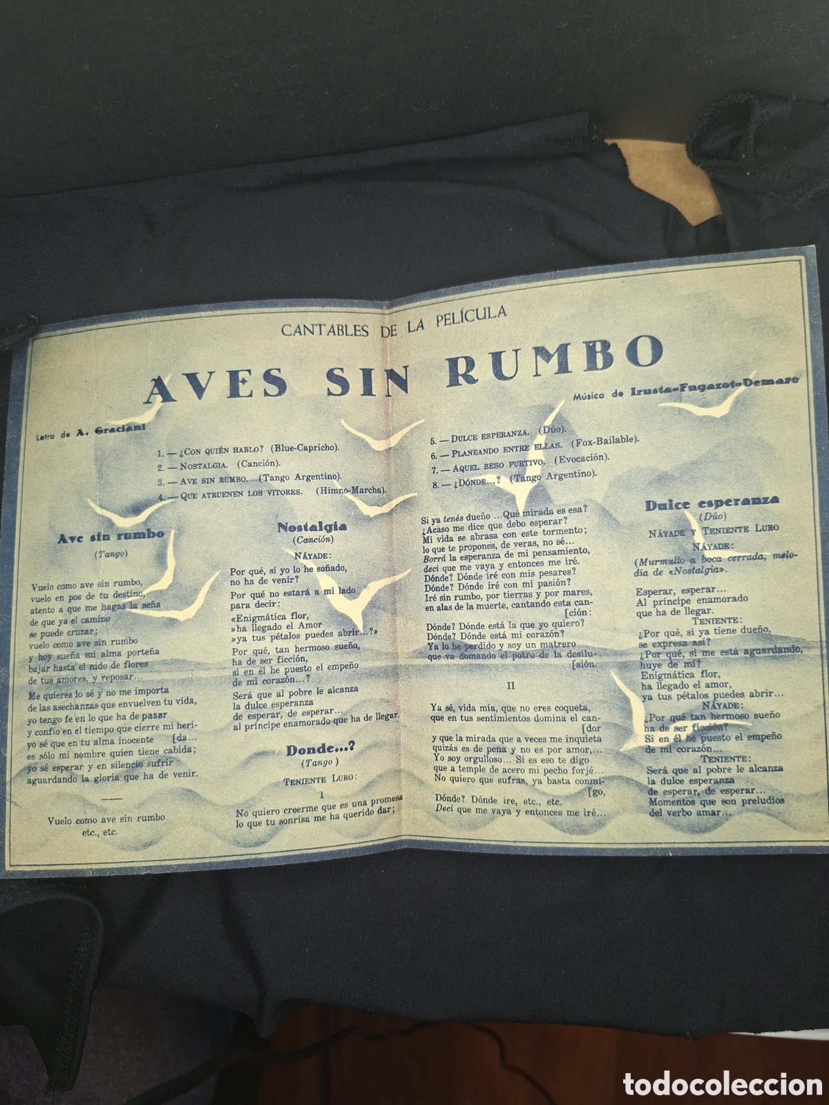 Cine: PROGRAMA DE CINE AVES SIN RUMBO A&Ntilde;O 1934 / CITP1 - Foto 2