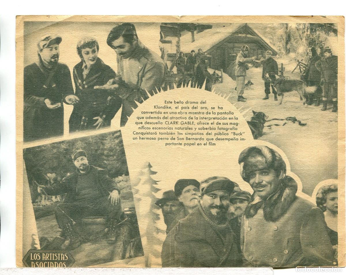 Cine: LA LLAMADA DE LA SELVA, con Clark Gable. - Foto 2
