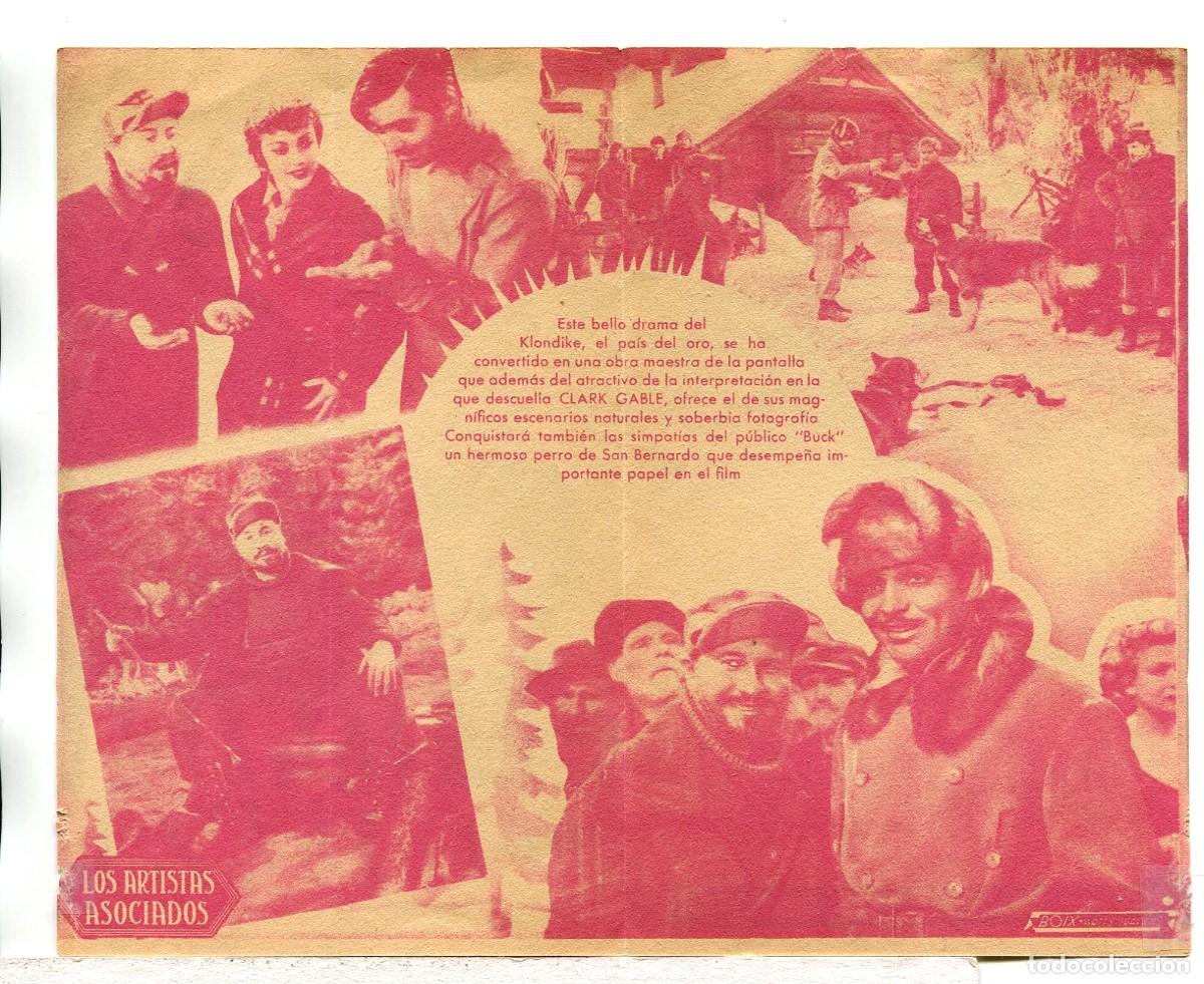 Cine: LA LLAMADA DE LA SELVA, con Clark Gable. - Foto 2