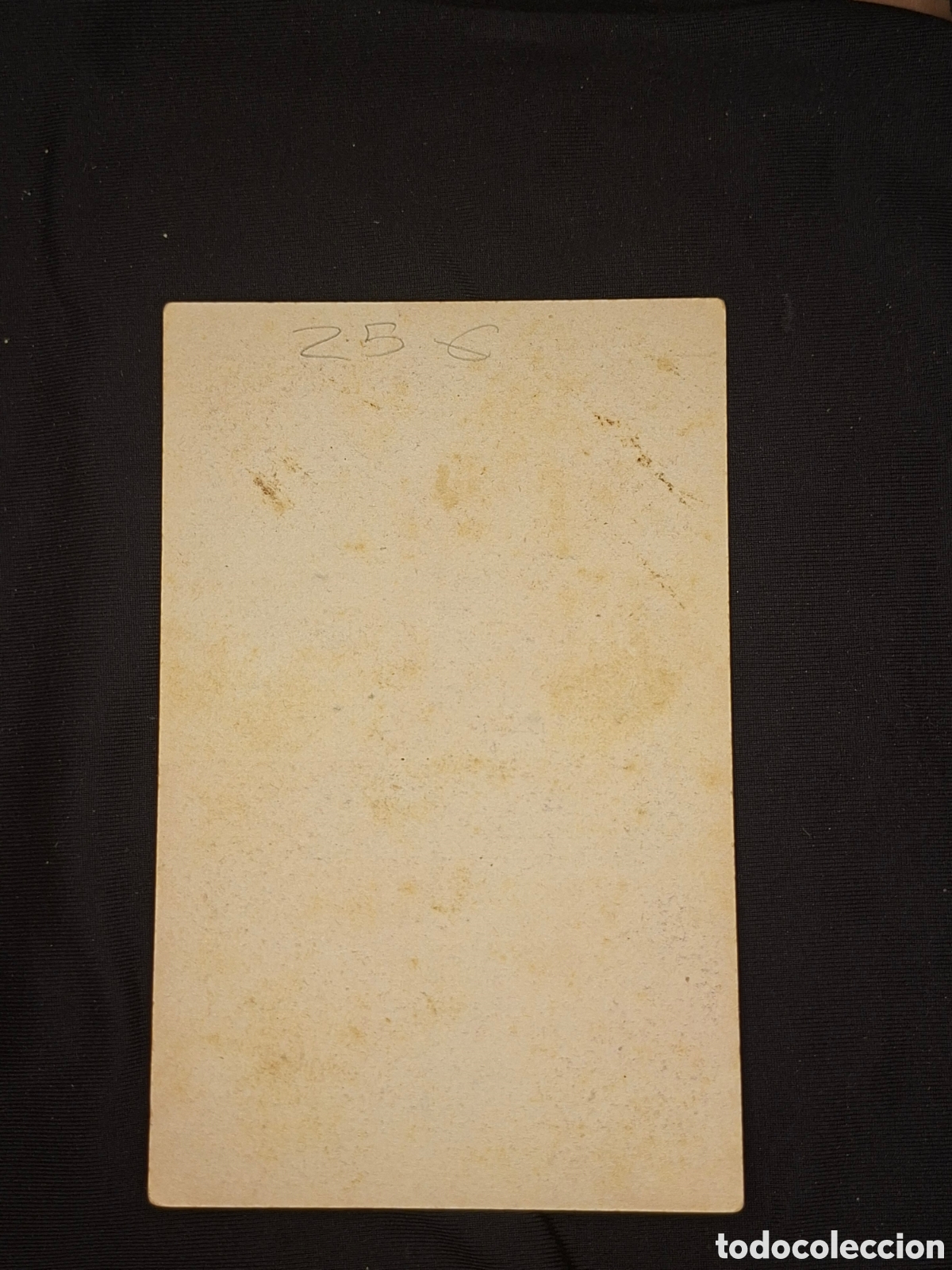 Cine: Folleto de mano. LA FLECHA. MGM../ CITC1 - Foto 2