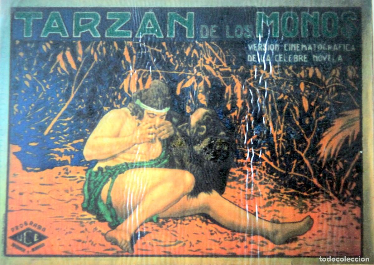 Folhetos de m&atilde;o de filmes antigos de cinema: TARZAN DE LOS MONOS, FOLLETO DE MANO 1920's - 17,5 x 12,5 cm