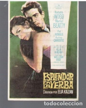 Cinema: FOLLETO DE MANO T&Iacute;TULO ESPLENDOR EN LAS YERBA NATALIA WOOD SALA KURSAAL EL A&Ntilde;O 1963