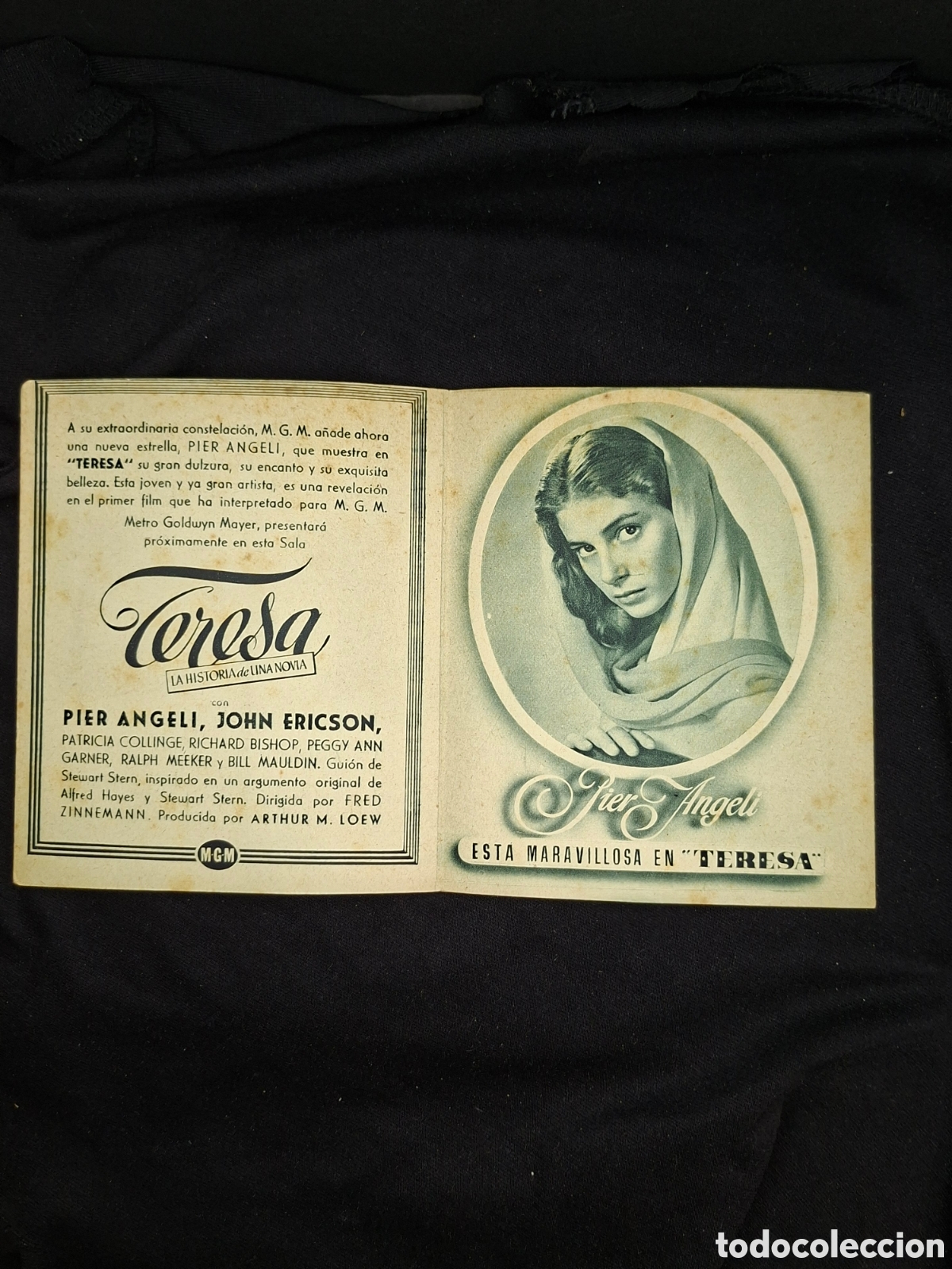 Cine: Folleto de mano desplegable :Teresa Diaro de una novia . CITC1