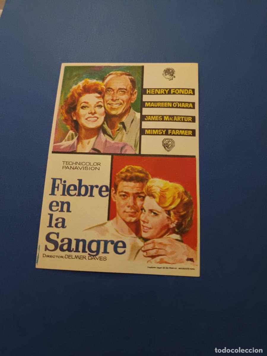 Cine: PROGRAMA DE CINE FIEBRE EN LA SANGRE HENRY FONDA