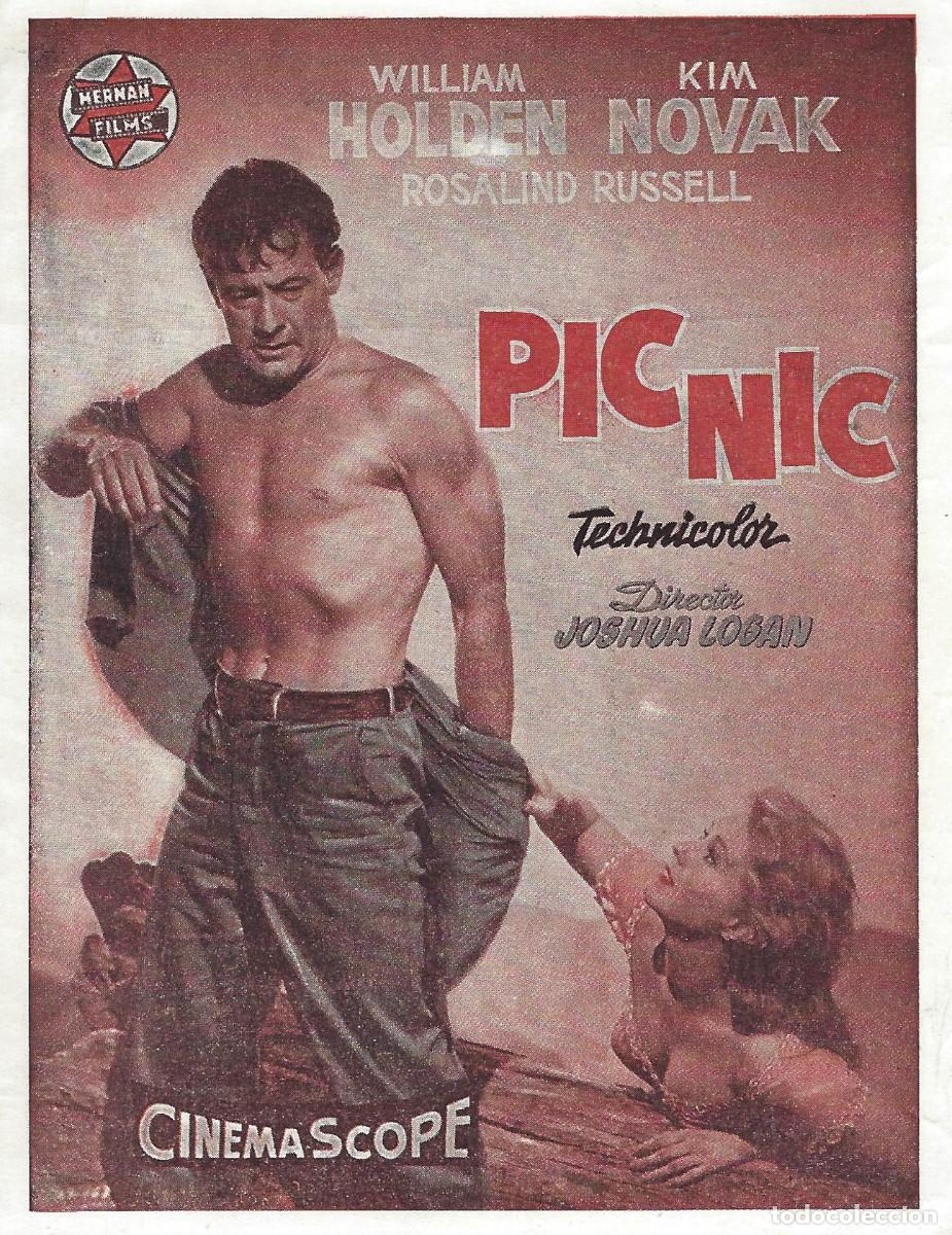 Cine: VC290 PICNIC-FOLLETO DE MANO-SENCILLO-14 X 11 CM.