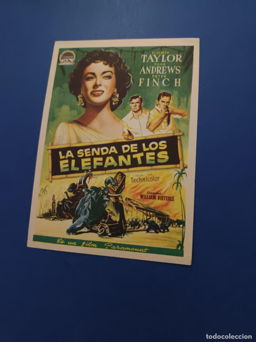 Cine: PROGRAMA DE CINE LA SENDA DE LOS ELEFANTES DANA ANDREWS ELIZABETH TAYLOR