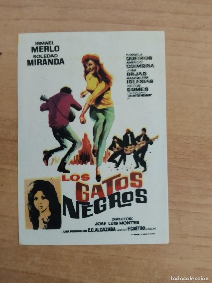 Cine: TURQUE-PROGRAMA DE CINE --LOS GATOS NEGROS