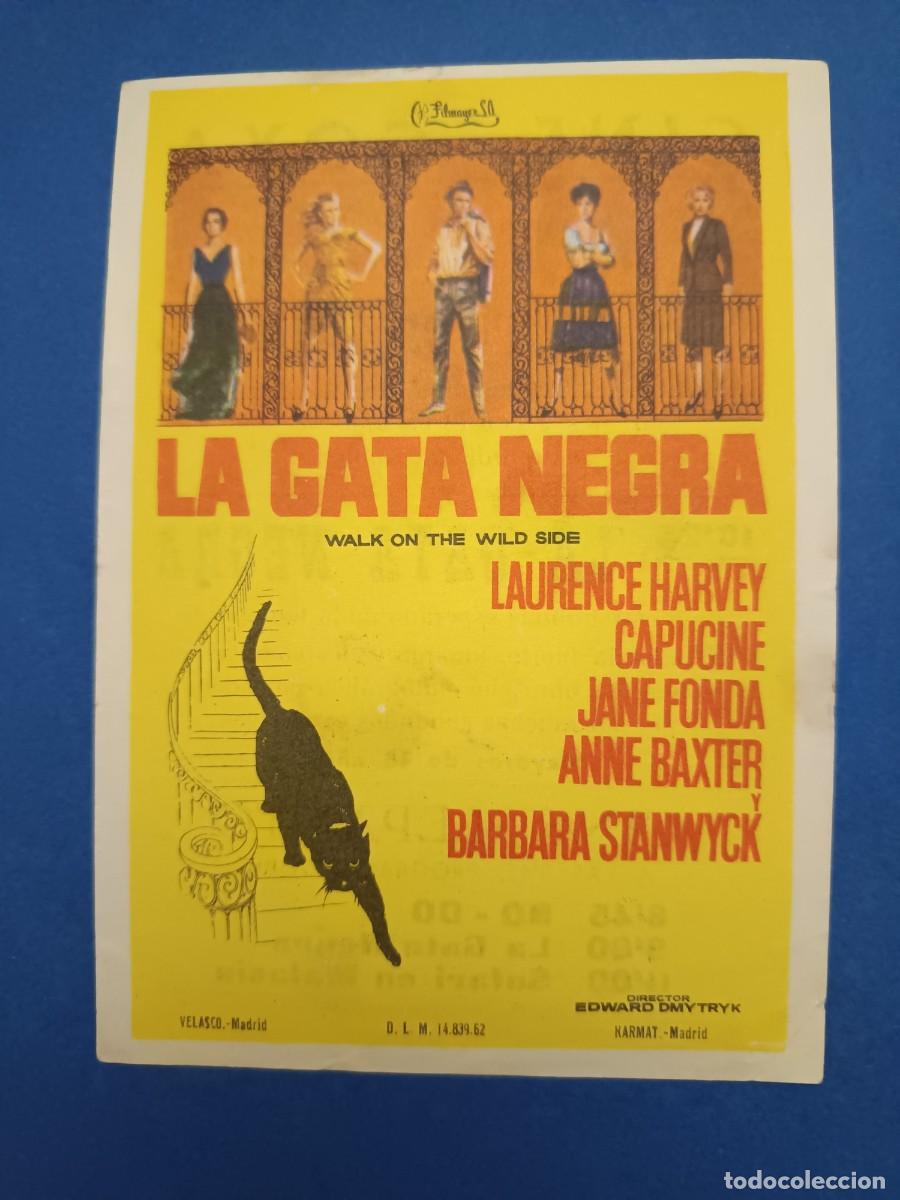 Cine: PROGRAMA DE CINE LA GATA NEGRA LAURENCE HARVEY
