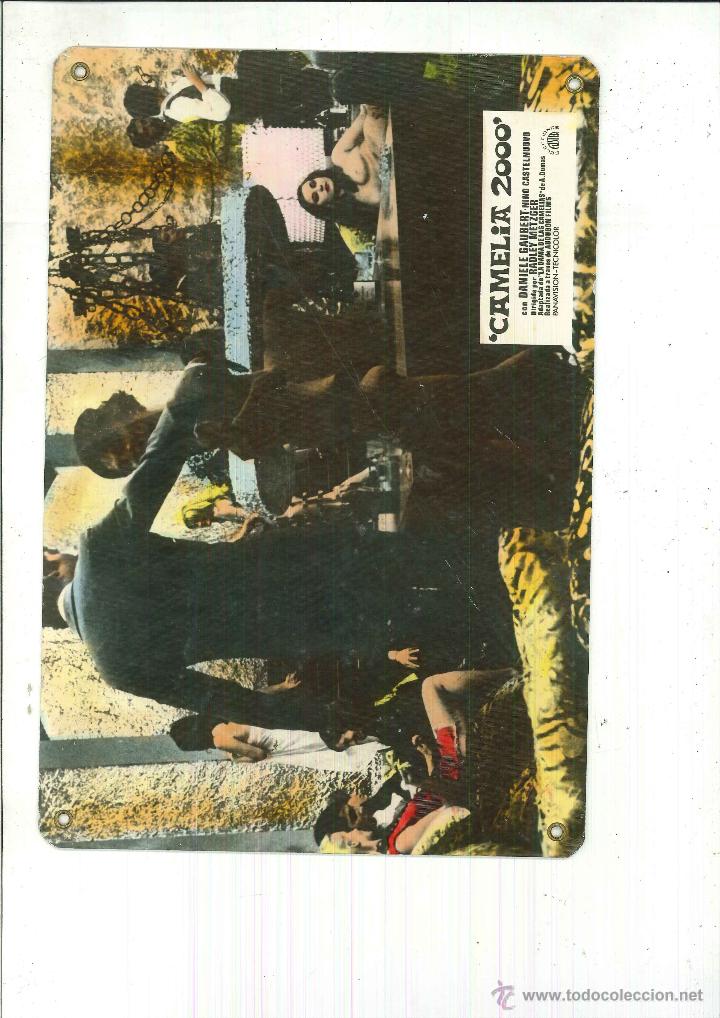 Cine: CAMELIA 2000 - Foto 1