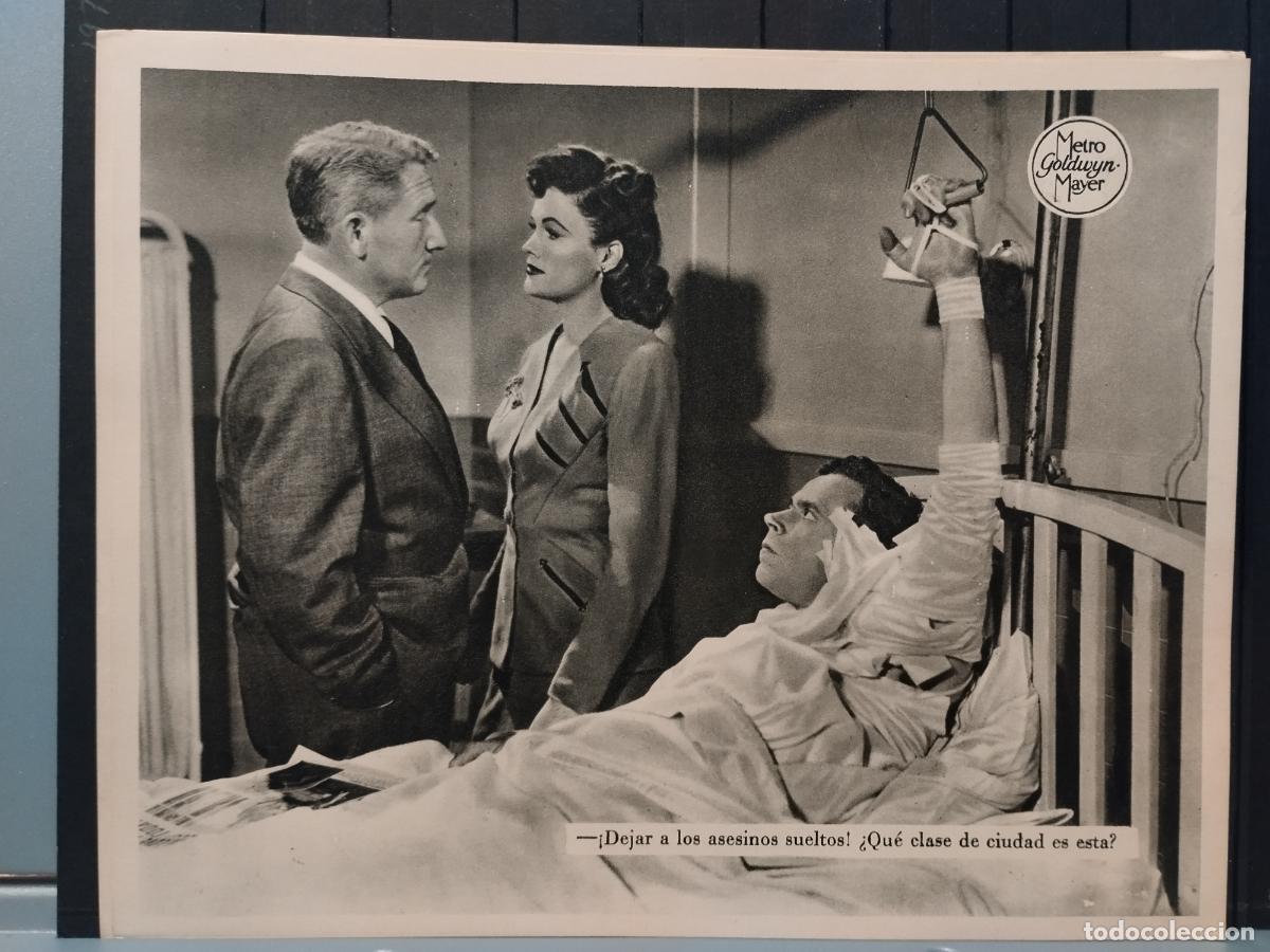 Cinema: FOTO-FILM. TAMA&Ntilde;O 19X24 CM. LA COSTILLA DE ADAN. KATHERINE HEPBURN. SPENCER TRACY