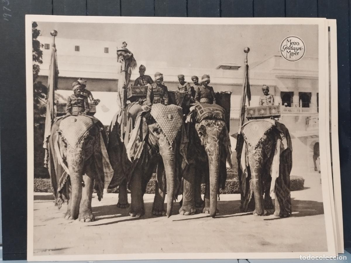 Cinema: FOTO-FILM. TAMA&Ntilde;O 19X24 CM. KIM DE LA INDIA. ESCENA DE LA PELICULA