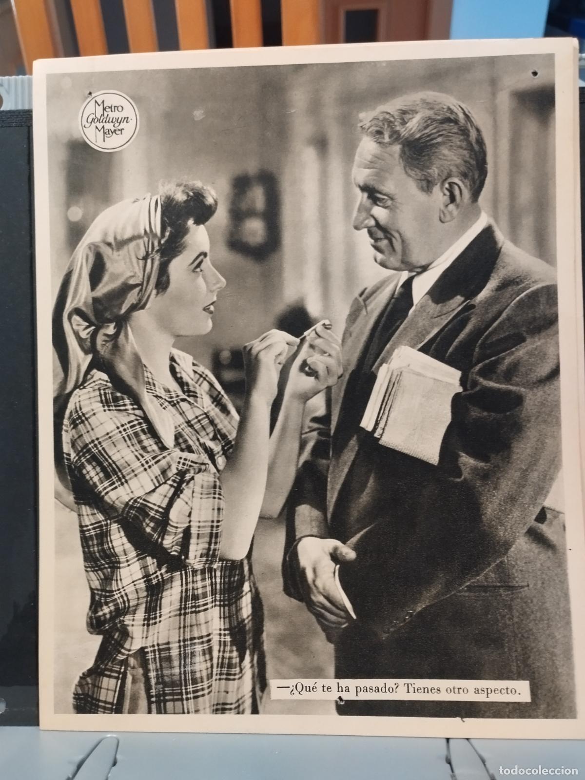 Cinema: FOTO-FILM. TAMA&Ntilde;O 19X24 CM. EL PADRE DE LA NOVIA. SPENCER TRACY. ELIZABETH TAYLOR.