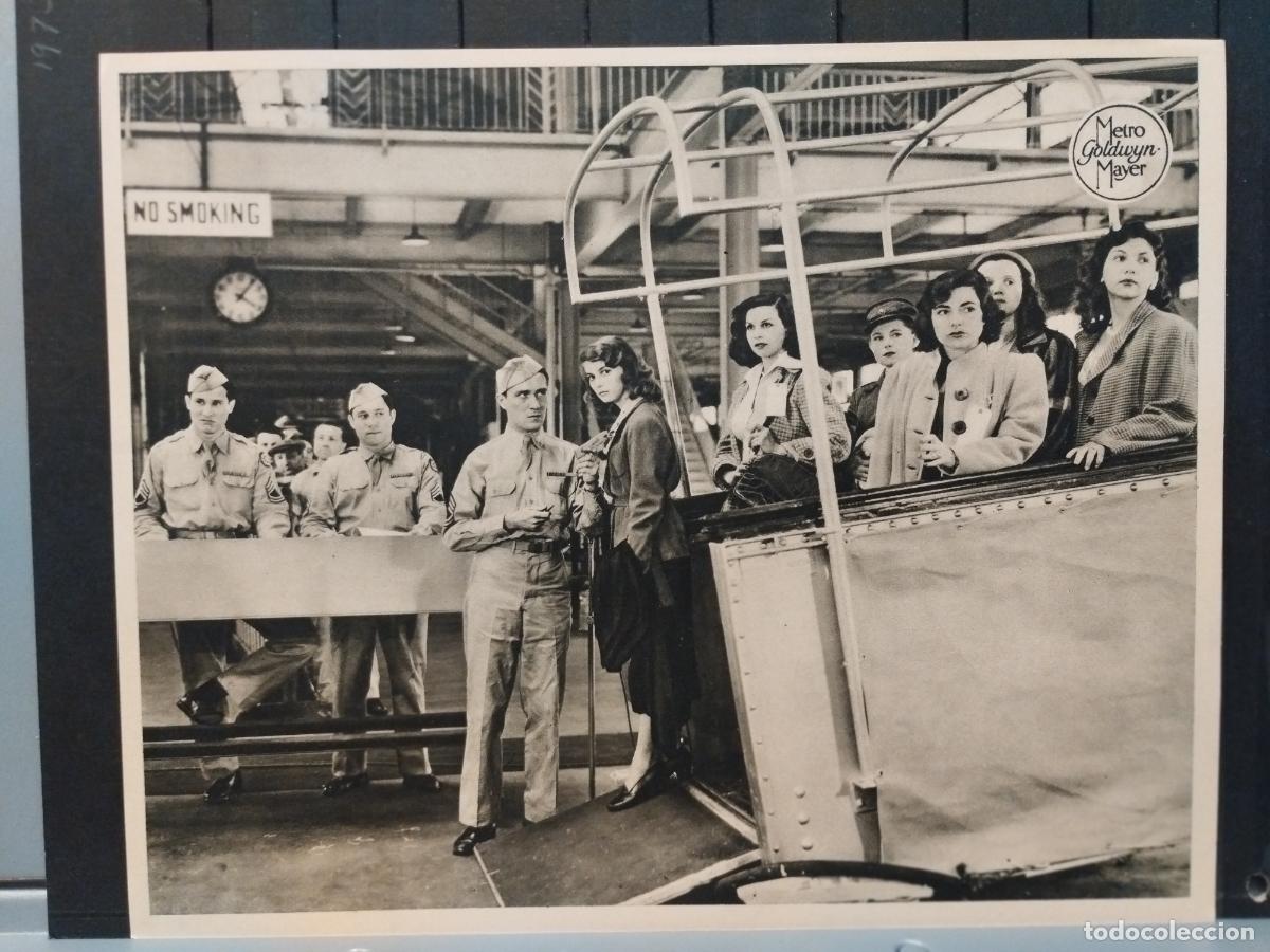 Cin&eacute;ma: FOTO-FILM. TAMA&Ntilde;O 19X24 CM. TERESA. PIER ANGELI. JOHN ERICSON.