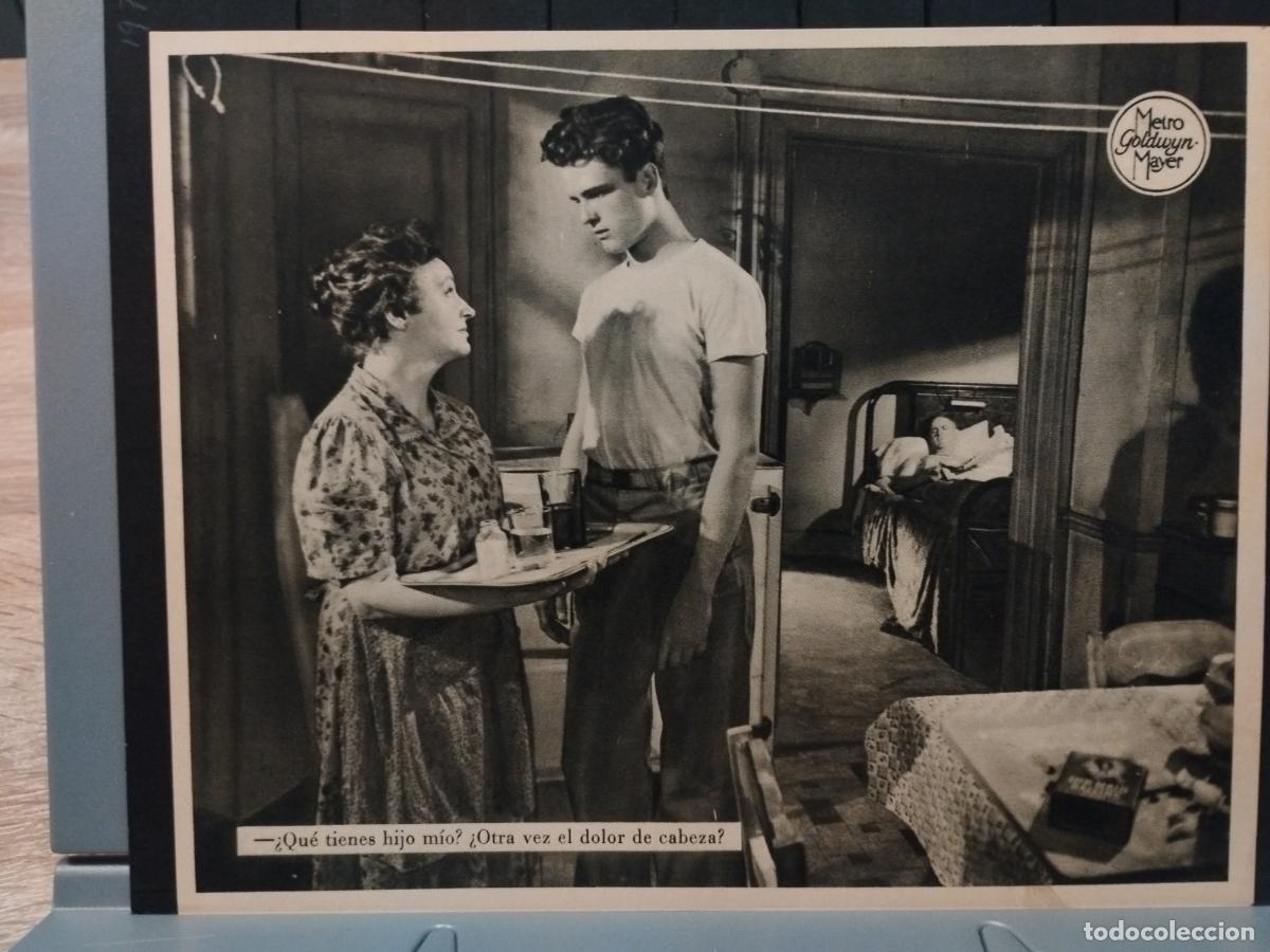 Cinema: FOTO-FILM. TAMA&Ntilde;O 19X24 CM. TERESA. JOHN ERICSON. PATRICIA COLLINGE