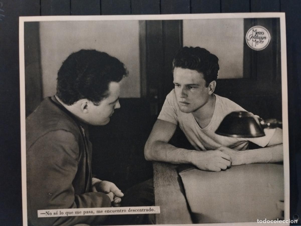 Cin&eacute;ma: FOTO-FILM. TAMA&Ntilde;O 19X24 CM. TERESA. JOHN ERICSON.