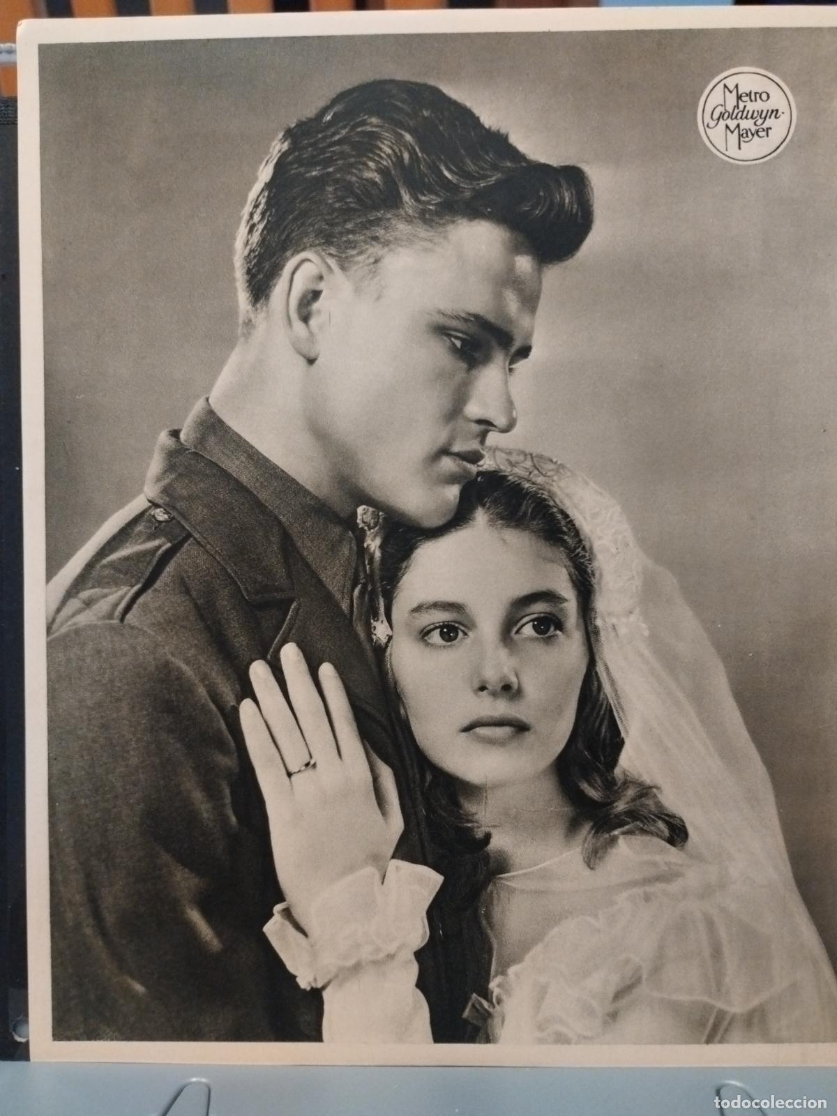 Cinema: FOTO-FILM. TAMA&Ntilde;O 19X24 CM. TERESA. JOHN ERICSON. PIER ANGELI