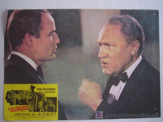 Cine: La jauria humana - Marlon Brando - 1 fotocromo del estreno