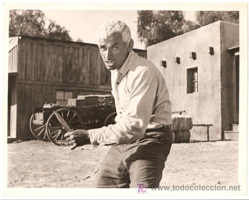 Cine: F1078 JEFF CHANDLER LOS SAQUEADORES FOTO ORIGINAL B/N AMERICANA