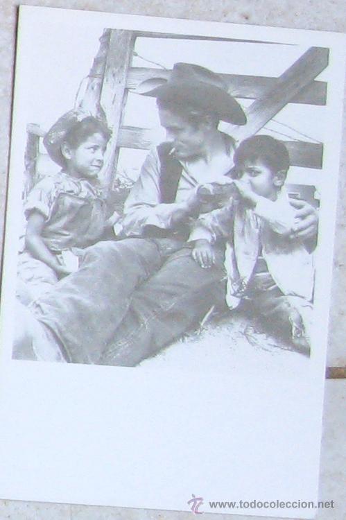 Cine: JAMES DEAN   POSTAL