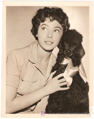Cin&eacute;ma: F28359D LESLIE CARON FOTO ORIGINAL B/N AMERICANA