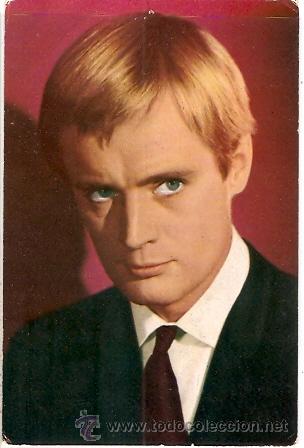 Kino: POSTAL DAVID MC CALLUM PROTAGONISTA SERIE T.V. EL AGENTE DE CIPOL