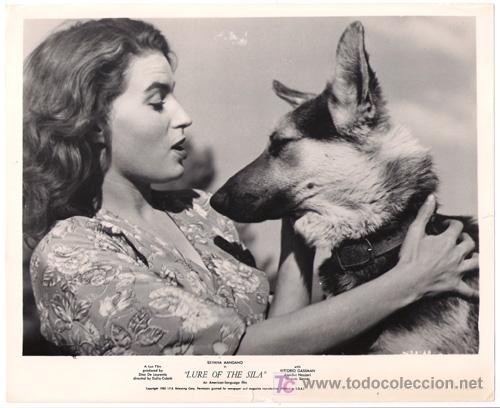 Cinema: FCJ 13680D SILVANA MANGANO EL LOBO DE LA SILA FOTO ORIGINAL B/N AMERICANA