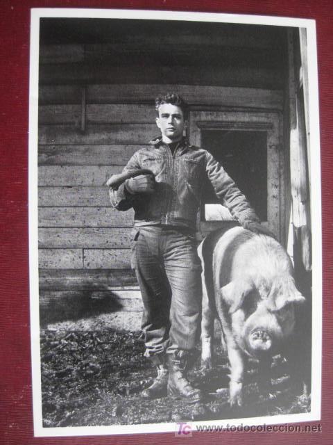Cine: POSTAL  FOTOGRAFICA   JAMES DEAN