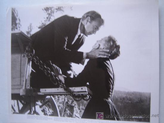 Cine: el arbol del ahorcado - the hanging tree - gary cooper - foto original del estreno